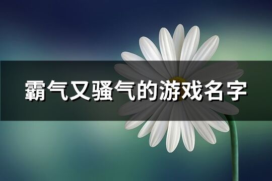 霸氣又騷氣的游戲名字(共166個)
