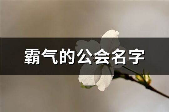 霸氣的公會名字(精選478個)