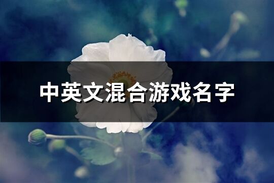 中英文混合游戲名字(共76個)