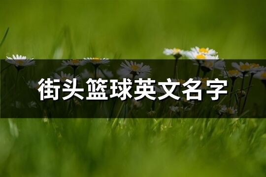 街頭籃球英文名字(111個)