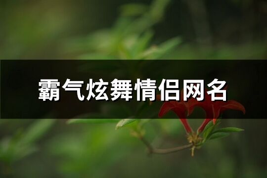 霸氣炫舞情侶網名(精選144個)