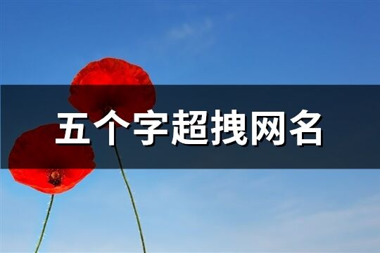 五個字超拽網名(優選178個)