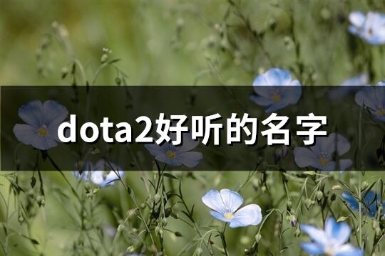 dota2好聽的名字(212個(gè))