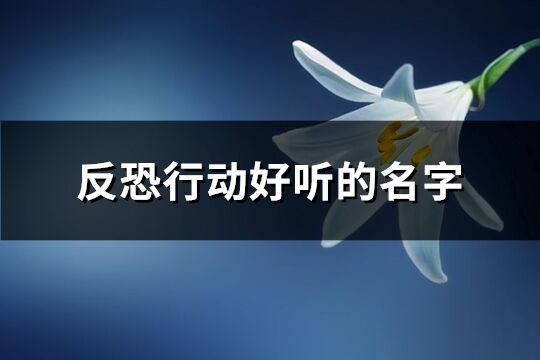 反恐行動好聽的名字(精選244個)