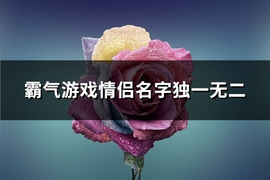 霸氣游戲情侶名字獨一無二(共141個)