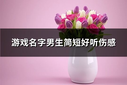 游戲名字男生簡短好聽傷感(320個)