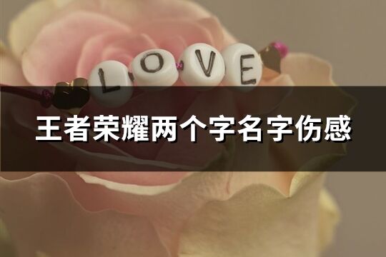王者榮耀兩個字名字傷感(優選527個)