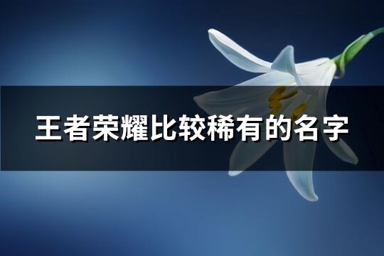 王者榮耀比較稀有的名字(235個)