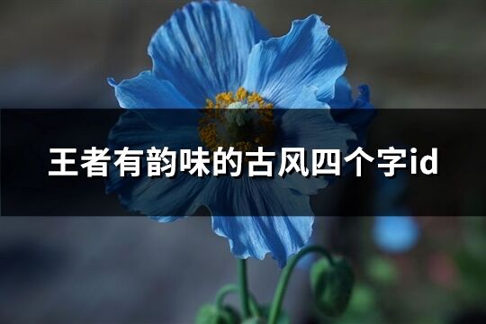 王者有韻味的古風四個字id(優選95個)