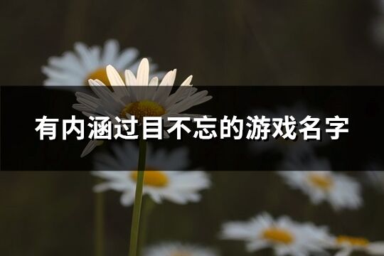 有內涵過目不忘的游戲名字(共77個)