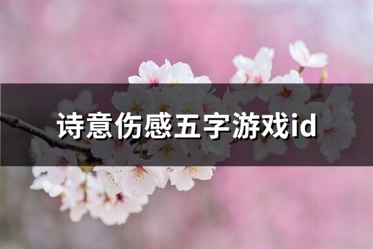詩意傷感五字游戲id(精選292個)