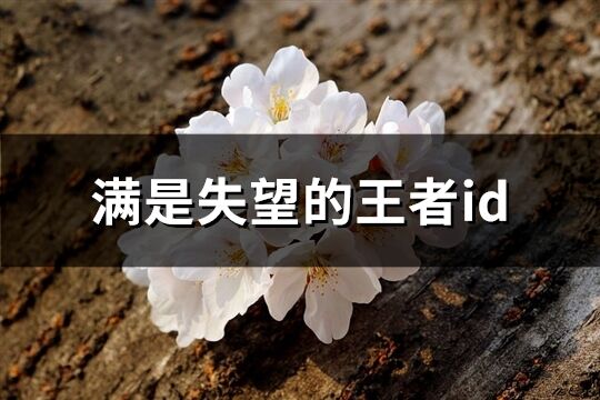 滿是失望的王者id(286個)