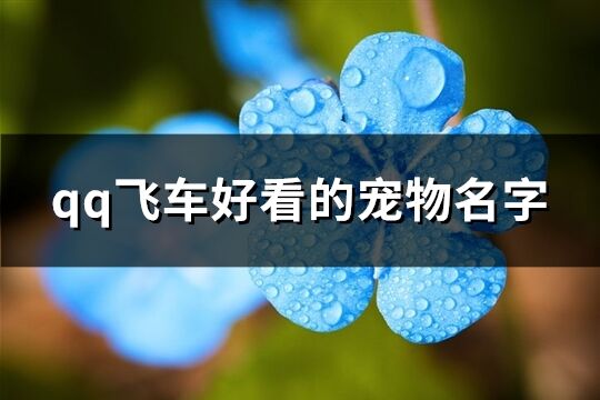 qq飛車好看的寵物名字(優選188個)