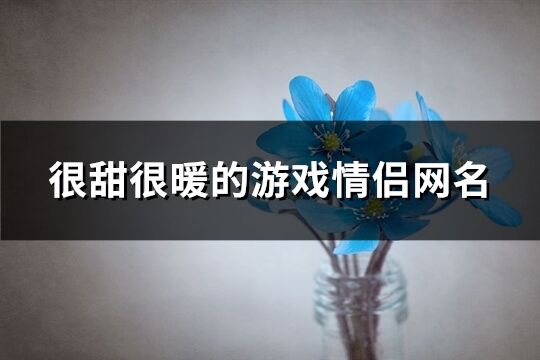 很甜很暖的游戲情侶網(wǎng)名(共137個)