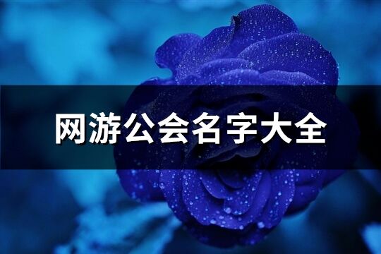 網(wǎng)游公會(huì)名字大全(共250個(gè))