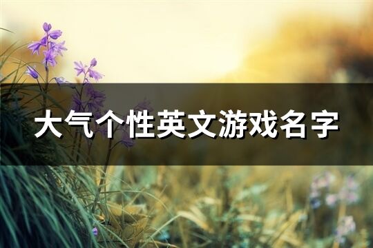 大氣個性英文游戲名字(125個)