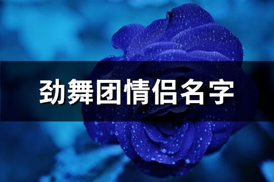 勁舞團情侶名字(精選195個)