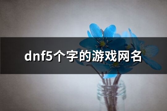 dnf5個字的游戲網名(精選543個)