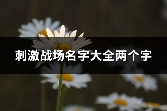 刺激戰(zhàn)場名字大全兩個字(優(yōu)選465個)