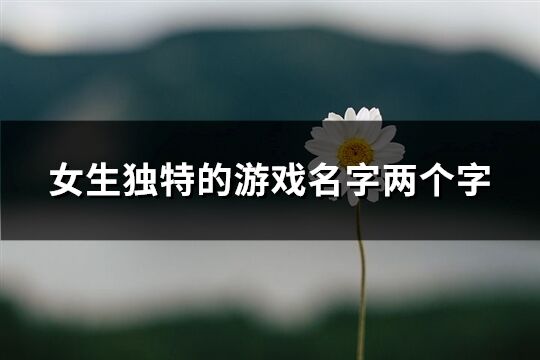 女生獨特的游戲名字兩個字(精選1369個)