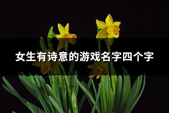 女生有詩意的游戲名字四個字(1553個)