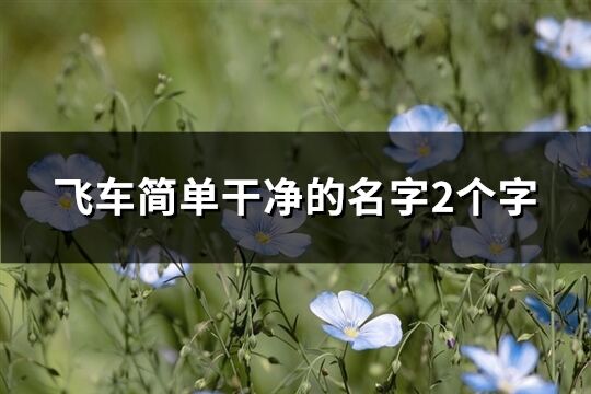 飛車簡單干凈的名字2個字(優(yōu)選580個)
