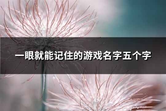 一眼就能記住的游戲名字五個字(優選405個)