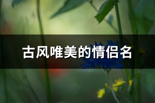 古風唯美的情侶名(優選98個)