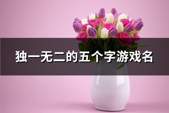 獨一無二的五個字游戲名(767個)