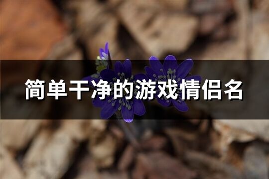 簡單干凈的游戲情侶名(共84個)