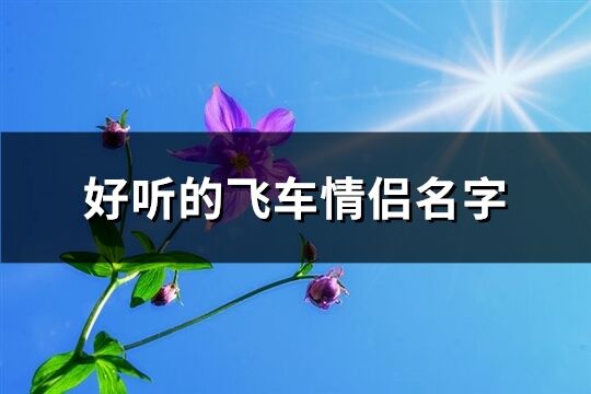 好聽的飛車情侶名字(103個)