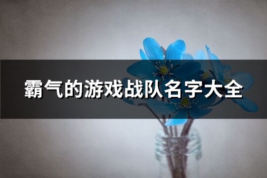 霸氣的游戲戰(zhàn)隊(duì)名字大全(精選308個(gè))