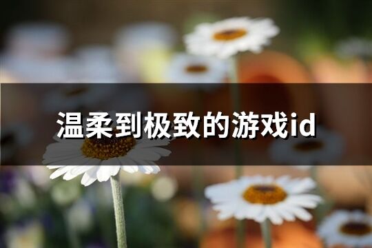 溫柔到極致的游戲id(精選220個)