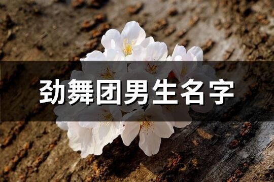 勁舞團男生名字(共132個)