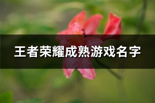 王者榮耀成熟游戲名字(精選604個)