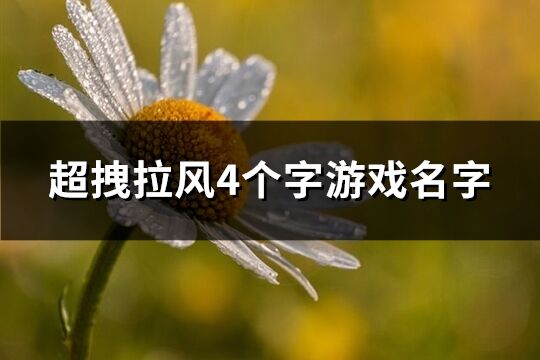 超拽拉風4個字游戲名字(208個)