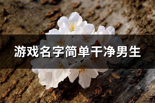游戲名字簡單干凈男生(共377個)
