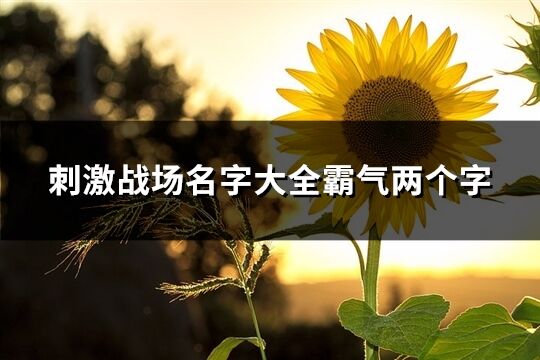 刺激戰場名字大全霸氣兩個字(415個)