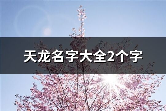 天龍名字大全2個(gè)字(精選773個(gè))