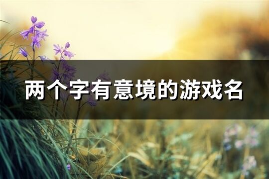 兩個字有意境的游戲名(590個)