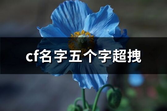 cf名字五個字超拽(精選418個)