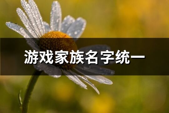 游戲家族名字統一(優選223個)