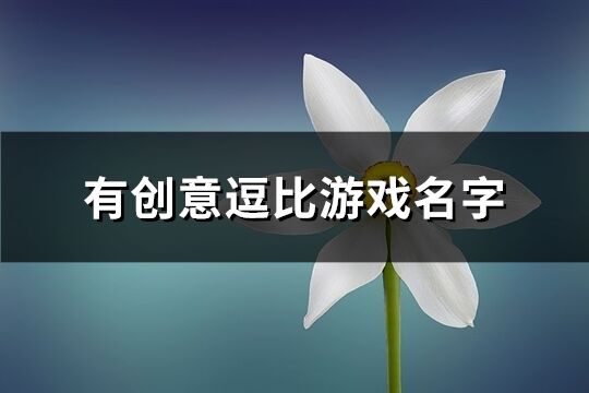 有創意逗比游戲名字(優選419個)