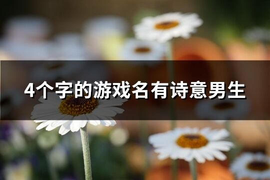 4個字的游戲名有詩意男生(156個)