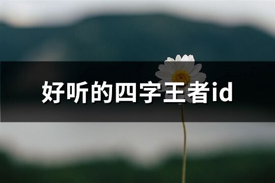 好聽的四字王者id(882個)
