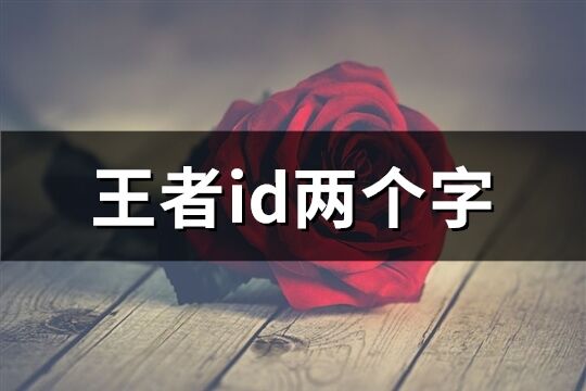 王者id兩個字(共722個)