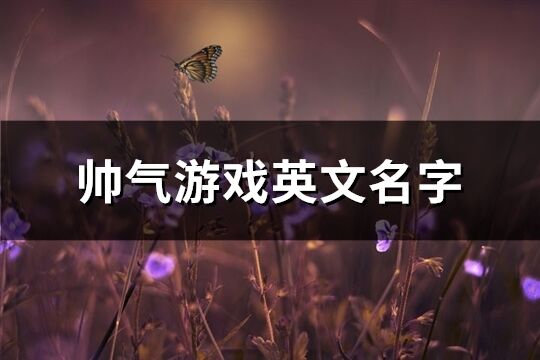 帥氣游戲英文名字(優選151個)