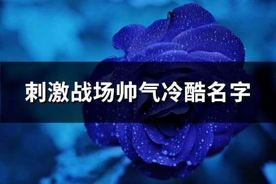 刺激戰場帥氣冷酷名字(優選417個)
