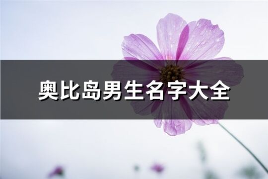 奧比島男生名字大全(精選65個)