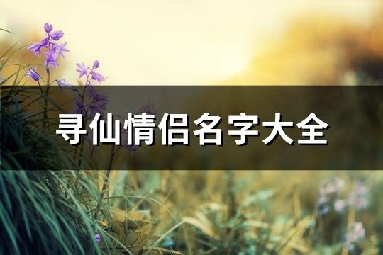 尋仙情侶名字大全(優(yōu)選124個(gè))